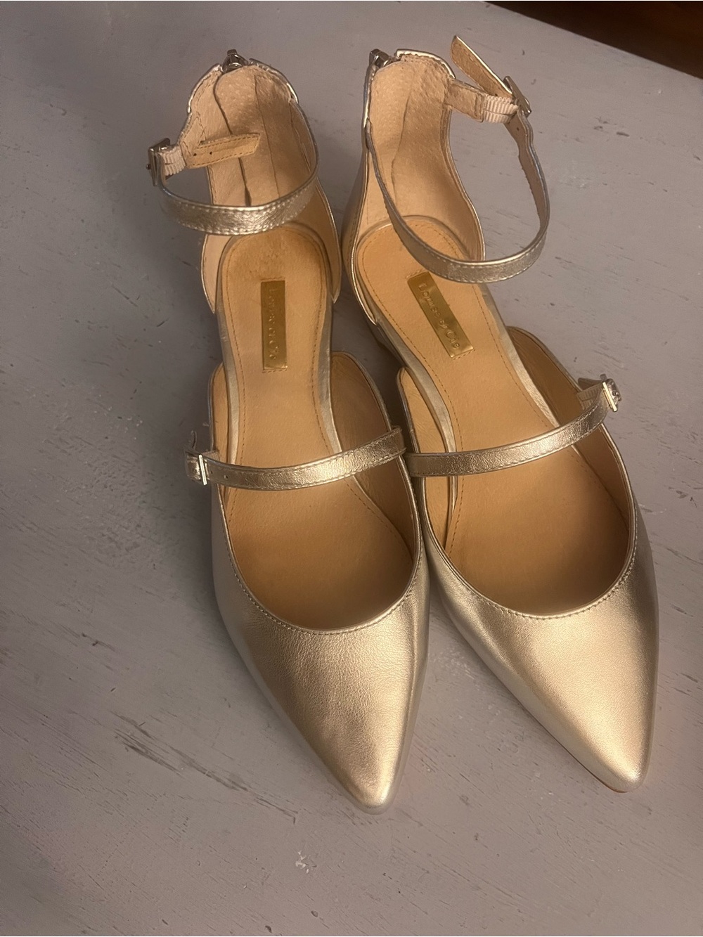 Louise et Cie Metallic Silver Pointed Mary Jane Flats with Ankle Strap